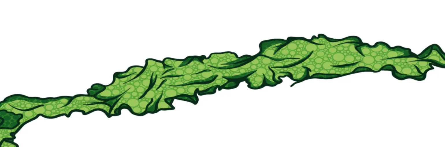 Ulva Banner