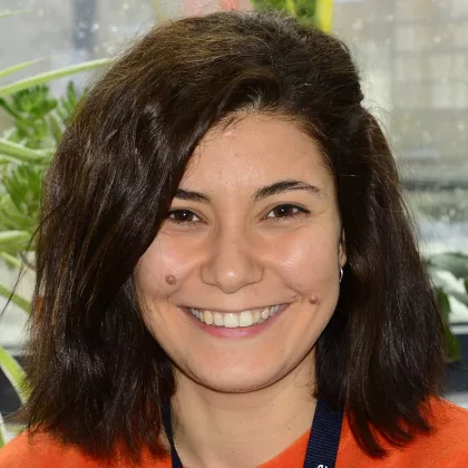 Ayse