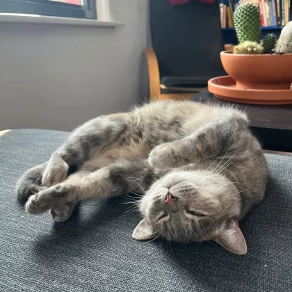 Lily being cute